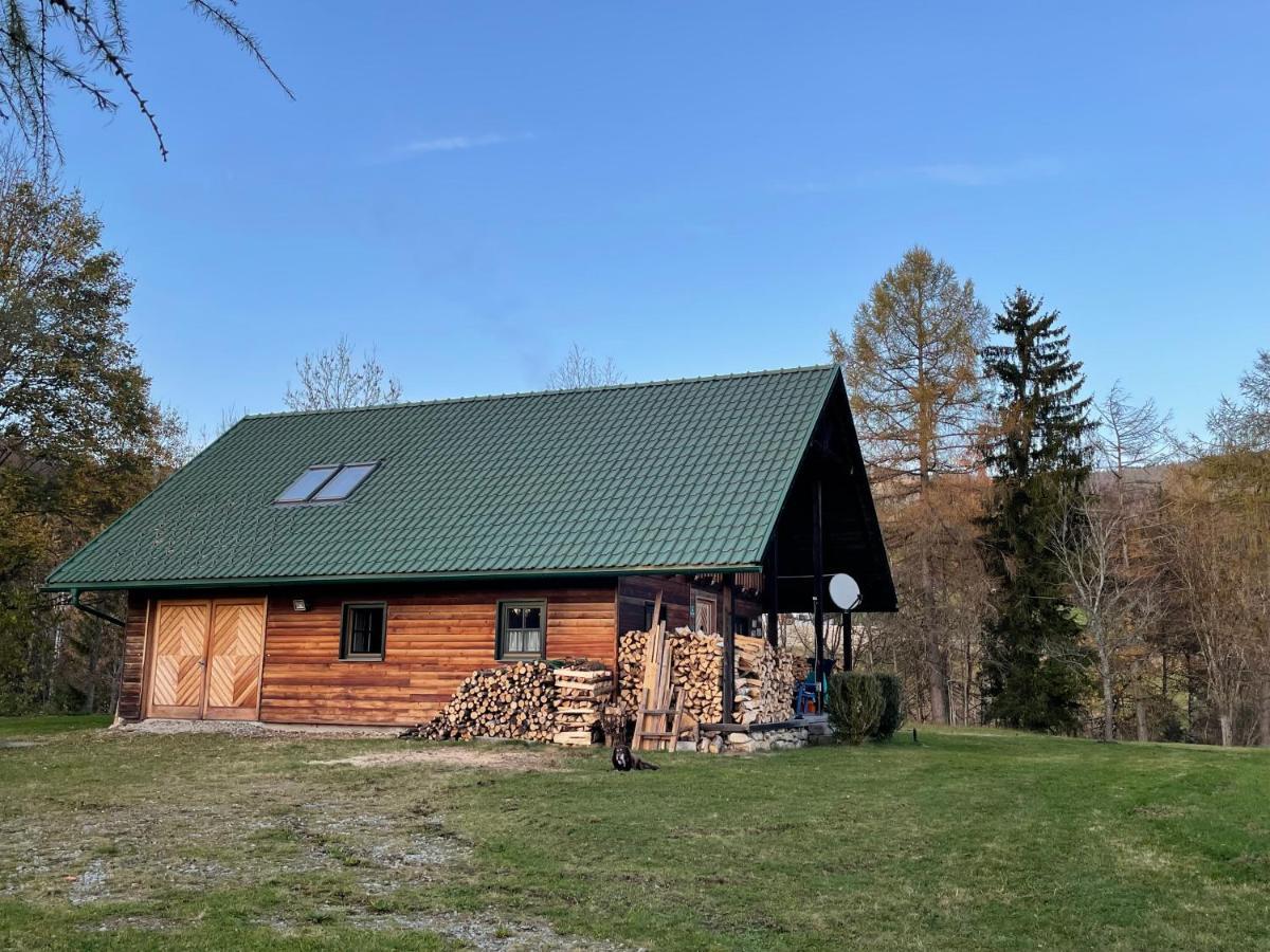 Berghuette, Chalet - Schwarzenberg Am Boehmerwald Schwarzenberg am Bohmerwald Dış mekan fotoğraf
