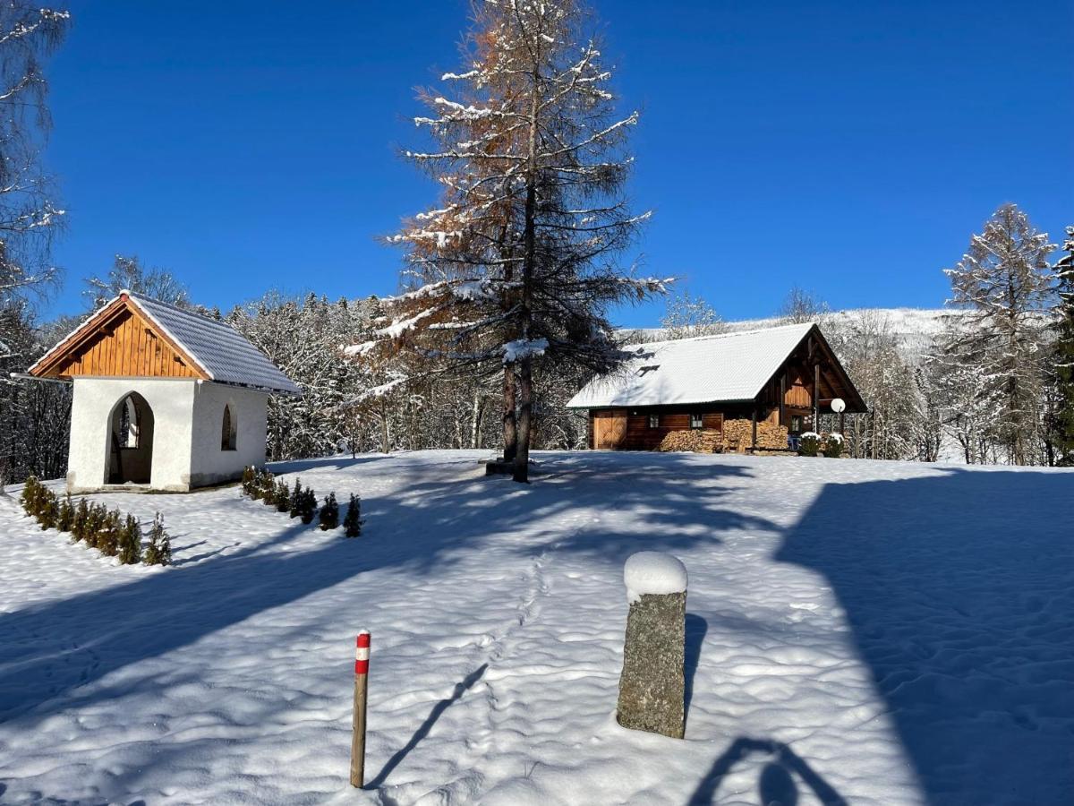 Berghuette, Chalet - Schwarzenberg Am Boehmerwald Schwarzenberg am Bohmerwald Dış mekan fotoğraf
